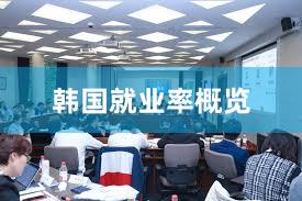 韩国就业率概览