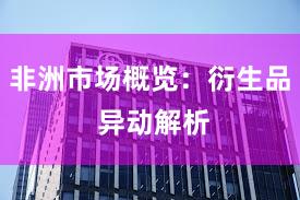 非洲市场概览：衍生品 异动解析